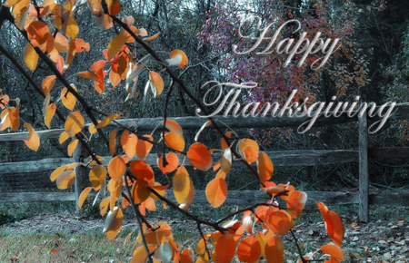 Plenty to Be Thankful For….