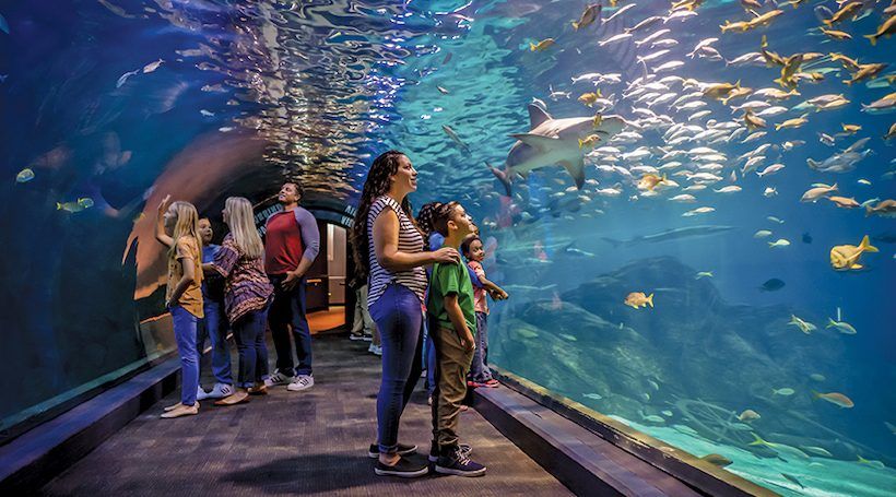 An image for Visit Adventure Aquarium (Camden, NJ)