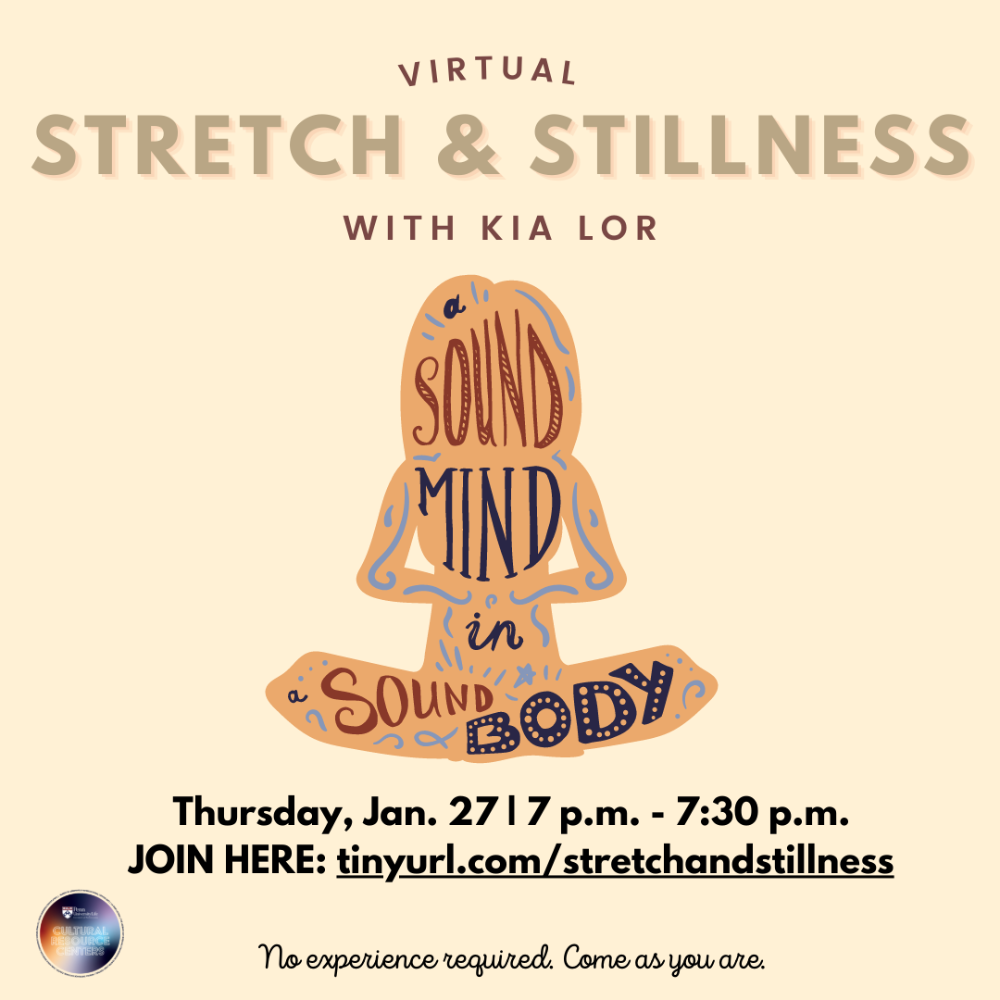 An image for VIRTUAL  Stretch & Stillness With Kia Lor