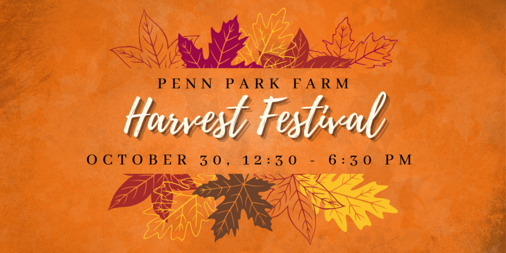 An image for Penn Park Farm Harvest Festival