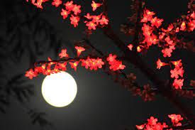 An image for Mid-Autumn Moon Festival